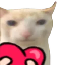 CatLove