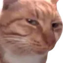 IMG_20240125_000321removebgprevi