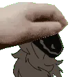 petthedusk