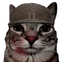 war