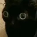 kont