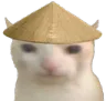 ChinaCat ChinaCat