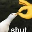 Shut
