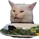 CatYell