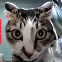 thousandyardstare