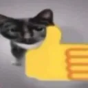 cat_thumbs_up