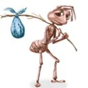 sadant