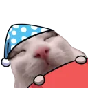 plinkbedge