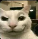 Cat1