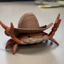 crabhat crabhat