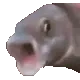ooo