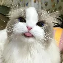 emoji_250