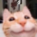 meow