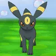nanalu1Umbreon