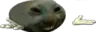 xddshrug