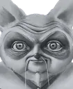 shifustare