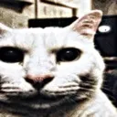 emoji_28 emoji_28