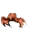 CrabPls1