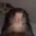 rat
