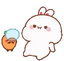 TujiHotMad