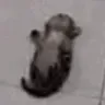 heartattack heartattack
