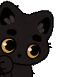 peek