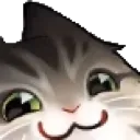 cat_smirk_heh_HMNS cat_smirk_heh_HMNS