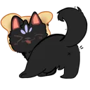 beanbutt