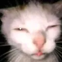 ehhh