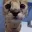 reow reow