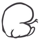 haix_ass