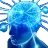 nyt_df_bigbrain