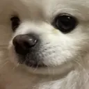 xiaobao_hmm