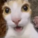 GASP