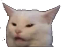:cat_mad: