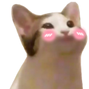 :popcat_blush: