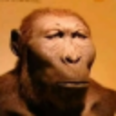 Modo_Serio Discord emoji