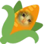 corncat