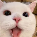 happy