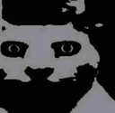 Canny_hyperrealista