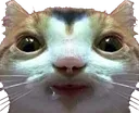guh guh