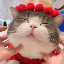 allthepets