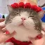 allthepets