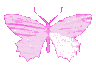 ButterflyPink