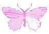 ButterflyPink