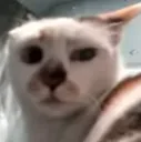 MsKirbyhuh