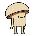 theseshroomsaintshit