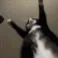 jigglin