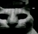 malevolence