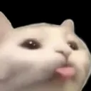 car_bwee